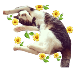 [LINEスタンプ] T.Amo