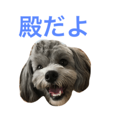 [LINEスタンプ] 殿だよ