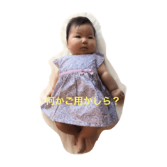 [LINEスタンプ] 今日のりおちゃん