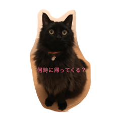 [LINEスタンプ] モフ君の日常