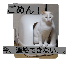 [LINEスタンプ] クールな猫のウラ君 Part1