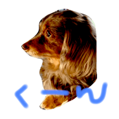 [LINEスタンプ] サンプルず