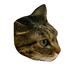 [LINEスタンプ] 我が家の猫たち（ナカムラさん）