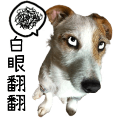 [LINEスタンプ] Little Prince POLY Dog