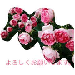 [LINEスタンプ] 花と自然とよく使う挨拶