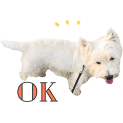 [LINEスタンプ] ウエスティのポロ