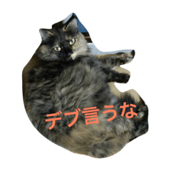 [LINEスタンプ] ねこたち〜