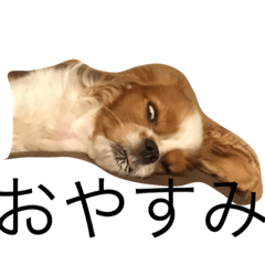 [LINEスタンプ] dande
