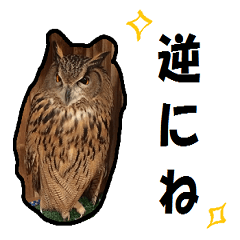 [LINEスタンプ] 毒舌フクロウさん