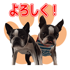 [LINEスタンプ] ヒロボス