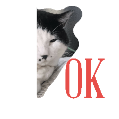 [LINEスタンプ] 我が家のねこたち