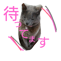 [LINEスタンプ] きなこ♀
