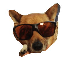 [LINEスタンプ] あずき(犬)