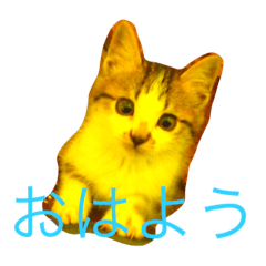 [LINEスタンプ] ぷっこ