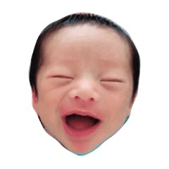 [LINEスタンプ] よーたんスタンプ