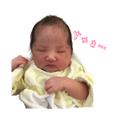 [LINEスタンプ] 愛しのかおちゃんスタンプ