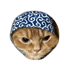 [LINEスタンプ] 福之助くん