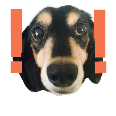 [LINEスタンプ] maron-sticker