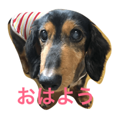 [LINEスタンプ] あたる