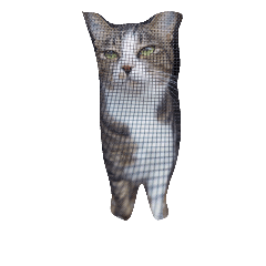 [LINEスタンプ] わたしんちのねこ