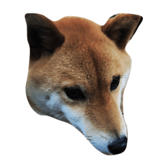[LINEスタンプ] 柴犬ハッチ☆
