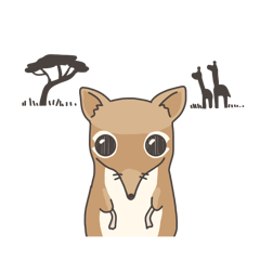 [LINEスタンプ] アフリカ獣上目のみなさん