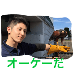 [LINEスタンプ] 大学時代