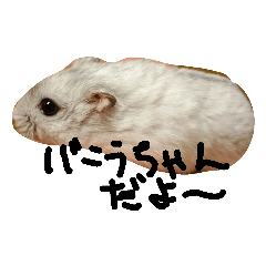 [LINEスタンプ] ハムスターのバニラちゃん