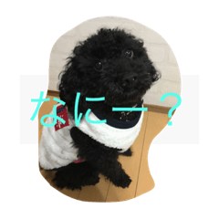 [LINEスタンプ] rockの1日