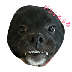 [LINEスタンプ] たびお