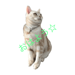 [LINEスタンプ] アルとルカ