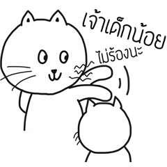 [LINEスタンプ] The crazy catt. Meowww