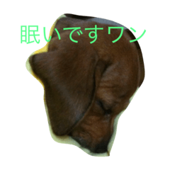 [LINEスタンプ] ワンコスタンプ お試しに作成しました。