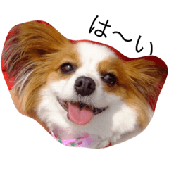 [LINEスタンプ] メリアとくーちゃん