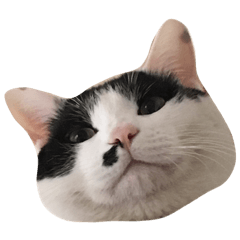 [LINEスタンプ] みーのすけ