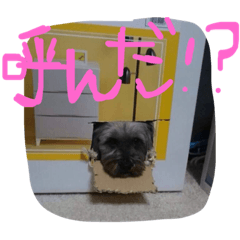 [LINEスタンプ] おばかちゃん's