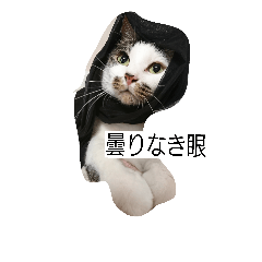 [LINEスタンプ] おひげのいる生活。
