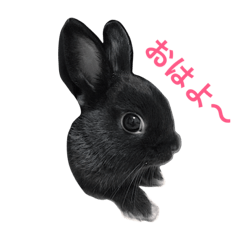 [LINEスタンプ] トトくん2