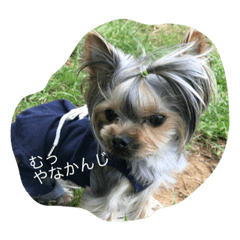 [LINEスタンプ] こまちのスタンプ