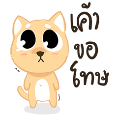 [LINEスタンプ] Sommhai is a cat