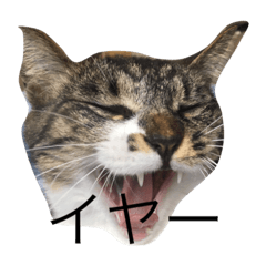 [LINEスタンプ] パンナ