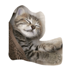 [LINEスタンプ] しずくの日々
