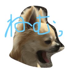 [LINEスタンプ] M＆K＆S
