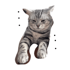 [LINEスタンプ] ねこさんと人生