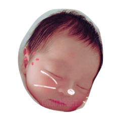 [LINEスタンプ] shinjofamilystamp