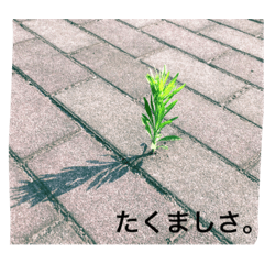 [LINEスタンプ] 利用シーン少なめ