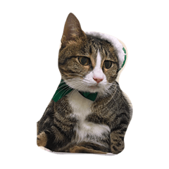 [LINEスタンプ] 保護猫カフェ出身猫たびちゃん