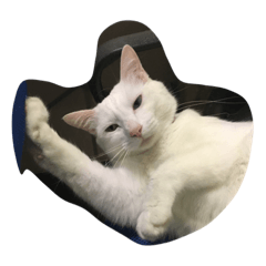 [LINEスタンプ] にゃんころべ