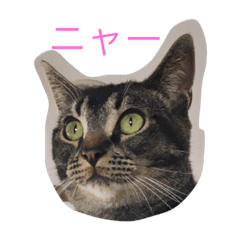 [LINEスタンプ] ゲン文字