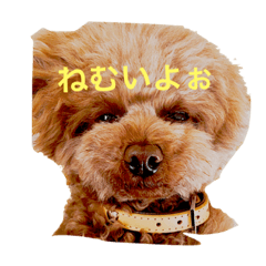 [LINEスタンプ] トイプーえーきち
